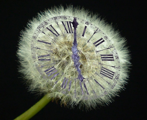 clock