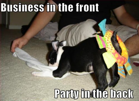 risky business