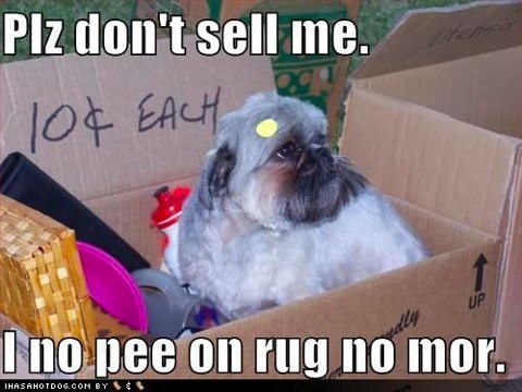 sell me sell me