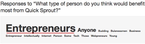 survey entrepreneurs