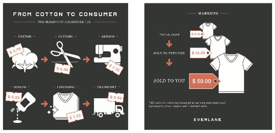 Everlane Infographic Example