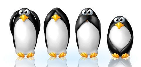 penguins