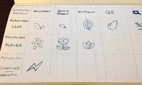 Morphological matrix of Quick Sprout ideas