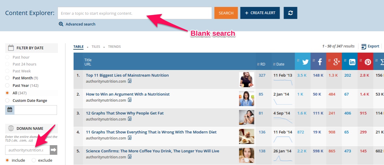 AHREFS SEO tool search function example.