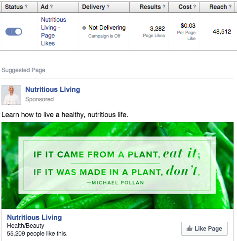 Example of Facebook ad data from a campaign.