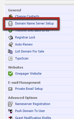 Domain name server setup example