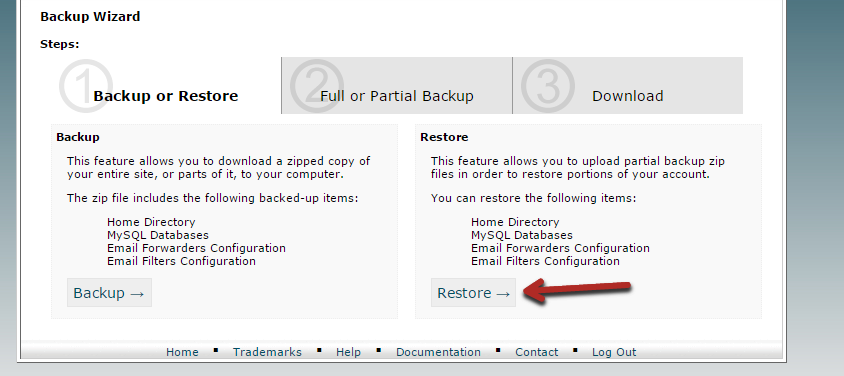 Choose restore in backup wizard example