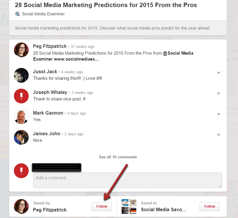 List of comments on a pin with follow function next to profile name.