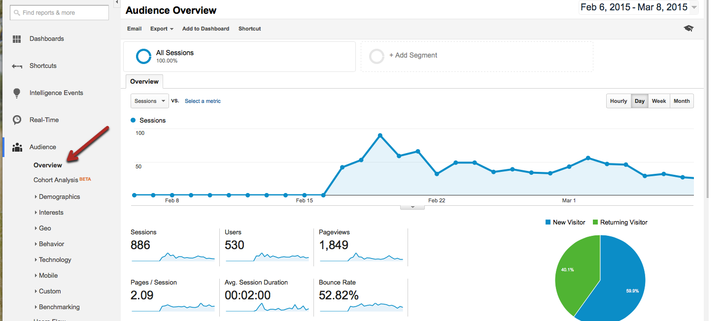 Google Analytics audience overview example 2