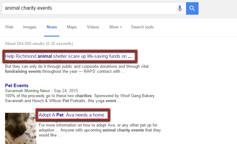 Example of a Google News search for animal charity events and the search results