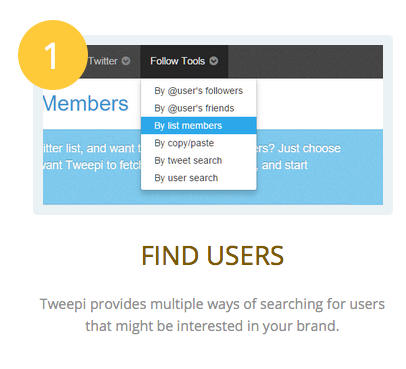 Tweepi content marketing tool example