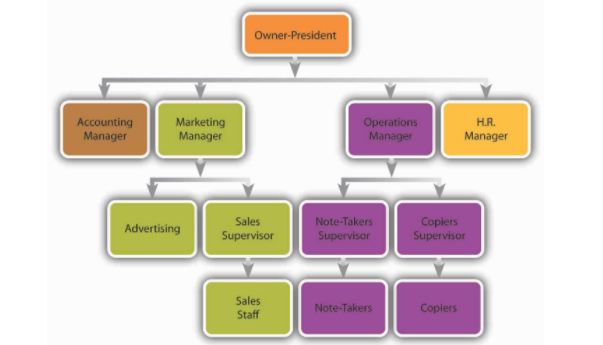 Organizational chart example