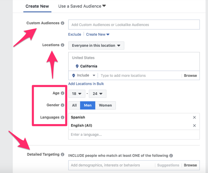 Facebook ad features and setup.