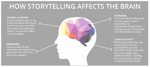 Infographic on how storytelling affects the brain. 