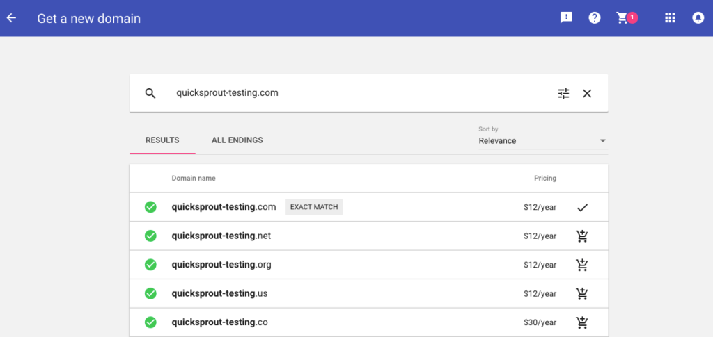 Google domain name registration process