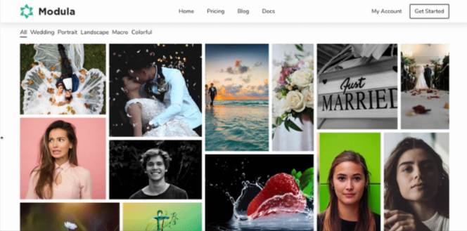 Modula Image Gallery Plugin
