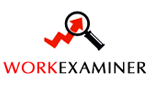 Work Examiner