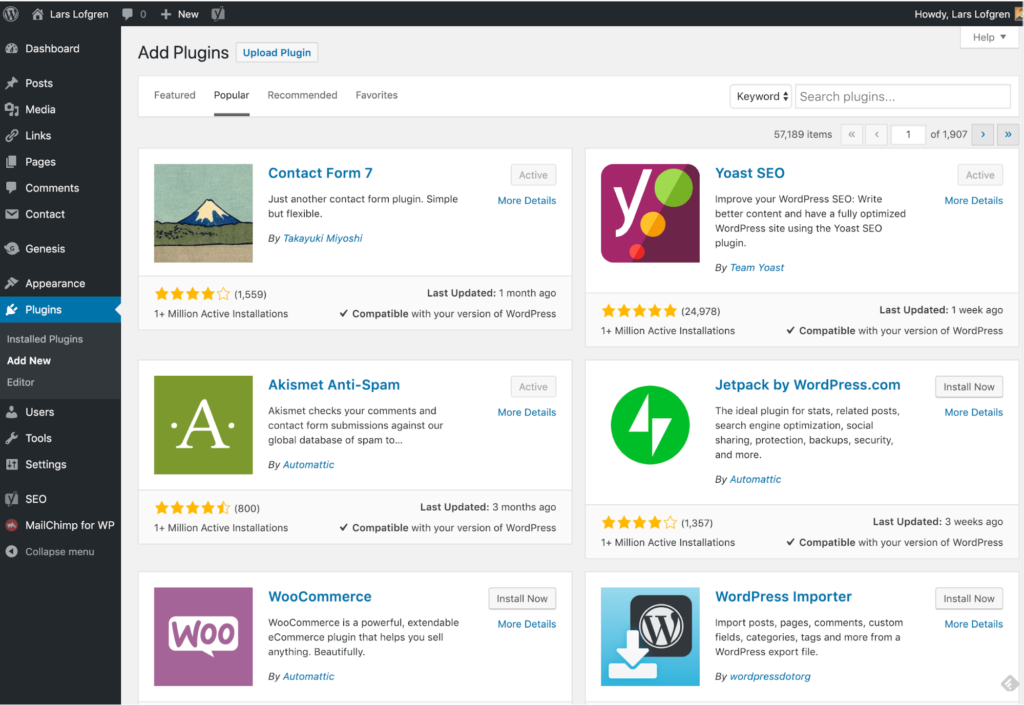 WordPress dashboard on plugins tab example.