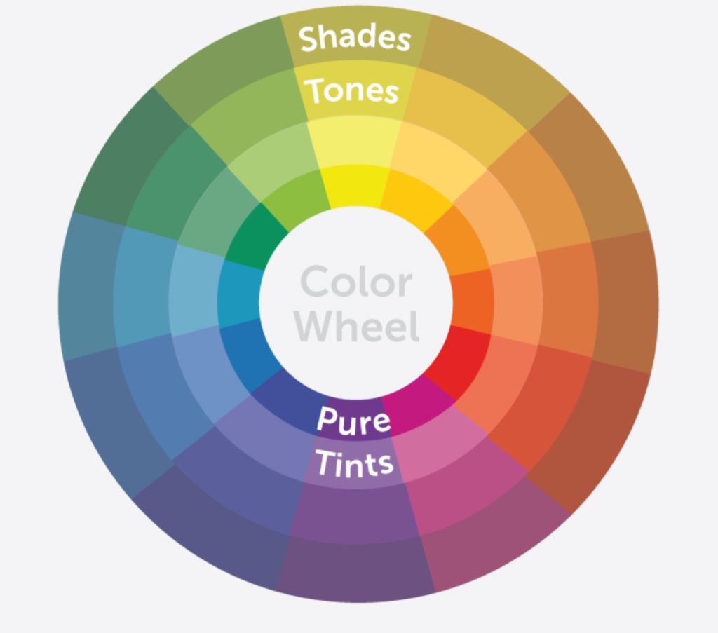 Infographic of a color wheel.