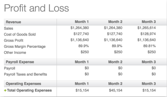 Enloop business plan software profit and loss example.