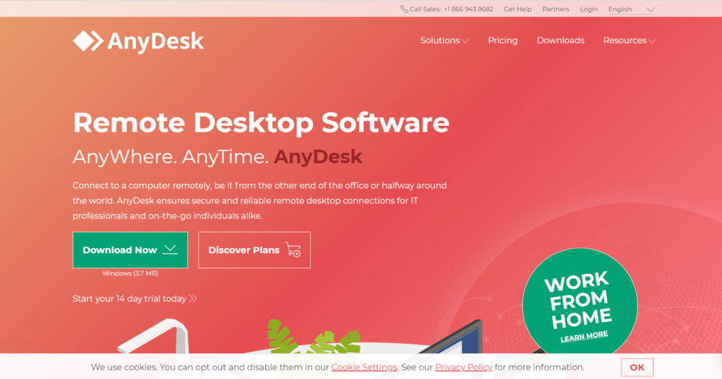 AnyDesk remote support software download page.