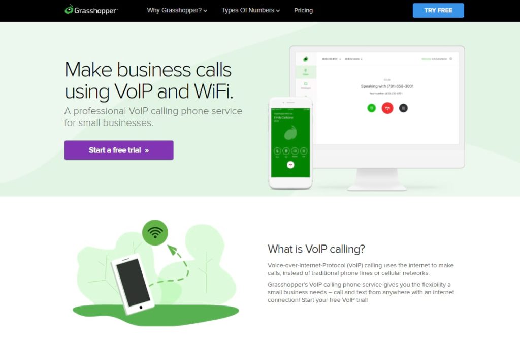 Grasshopper VoIP webpage