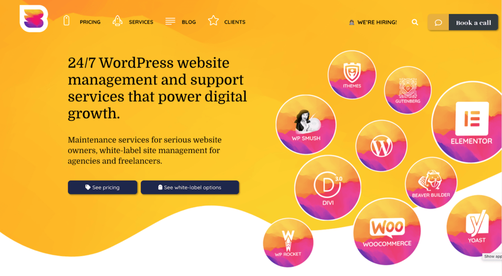 WP Buffs WordPress website management and support services homepage.
