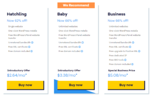 HostGator's pricing for website hosting services.