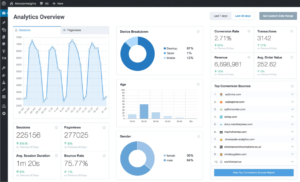 MonsterInsights analytics overview and dashboard.