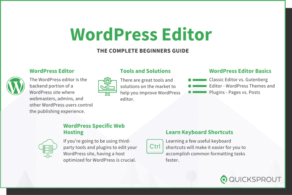 Quicksprout.com's complete beginner's guide to WordPress editor.