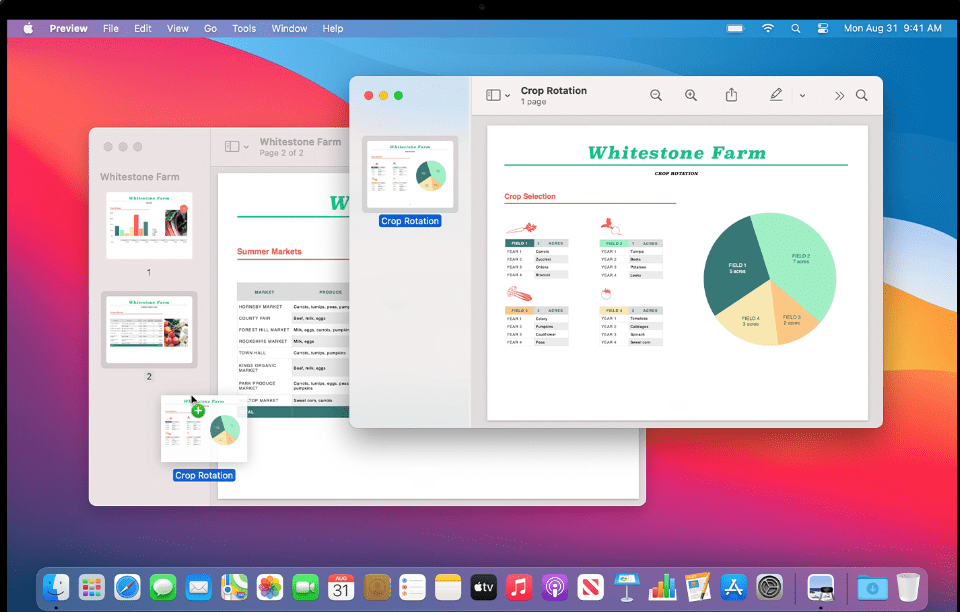 Screenshot of macOS preview app