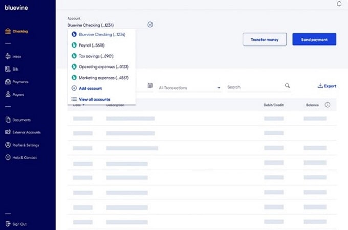 Bluevine checking account dashboard