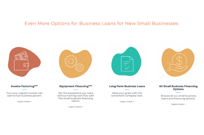 Screenshot from Credibly website showing their options for business loans for new small businesses