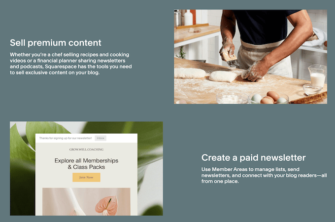 Squarespace landing page screenshot for selling premium content and creating a paid newsletter.