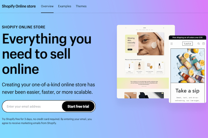 Shopify online store landing page