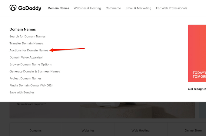 GoDaddy Domain Names links with red arrow pointing to Auctions for Domain Names link