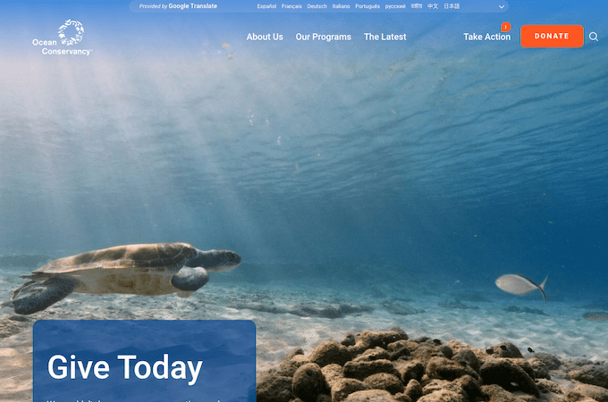A screenshot of the Ocean Conservancy website that features a sea turtle and a fish swimming underwater.