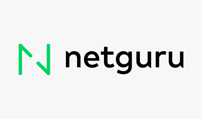 Netguru, one of the best .NET developers.
