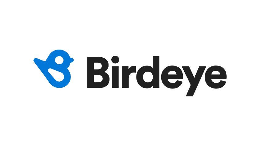 Birdeye company logo.