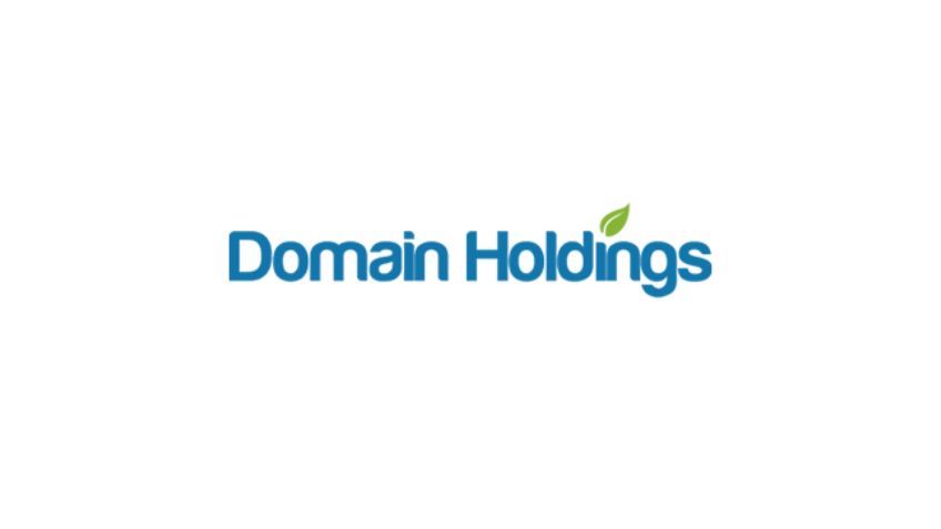 Domain Holdings company logo
