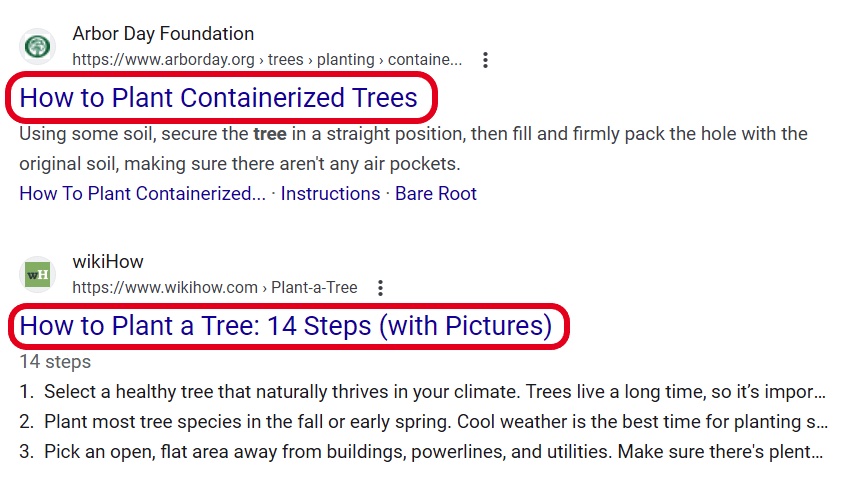 Two examples of website titles in search results