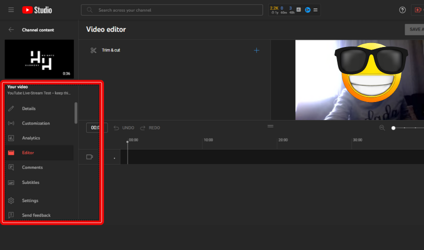 Screenshot of editing options in YouTube Studio.