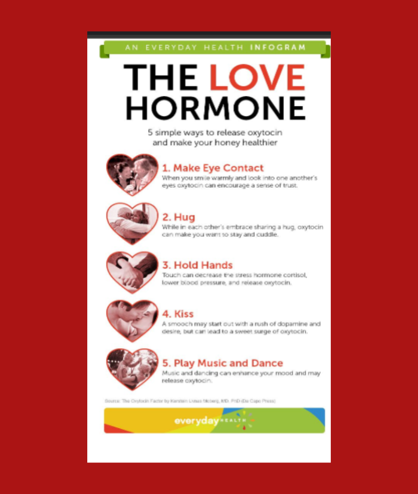 The Love Hormone infographic