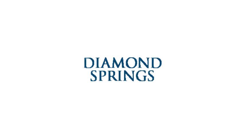 Diamond Springs logo