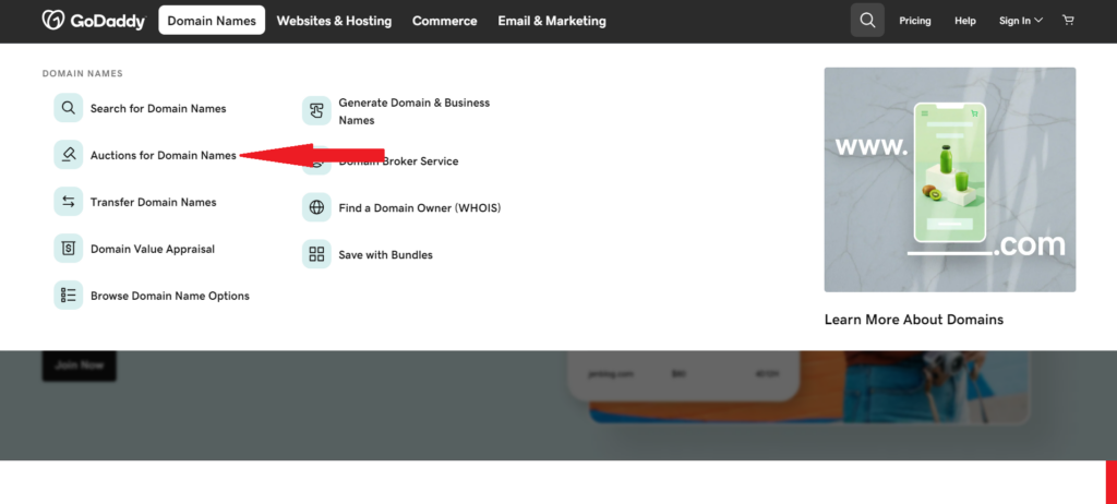 GoDaddy Domain Names links with red arrow pointing to Auctions for Domain Names link