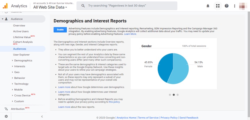 Screenshot of Google Analytics demographic bar chart. 