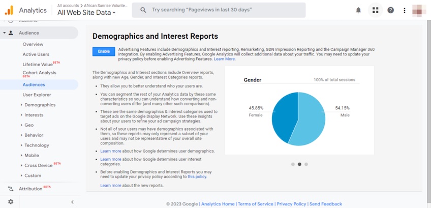 Google Analytics Demographics, showing the gender percentage of visitors with a pie chart infographic.