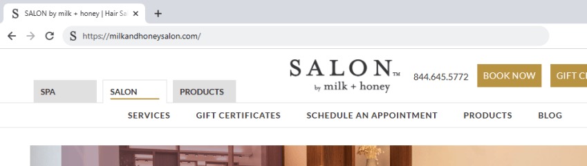 Salon tab on Salon by milk + honey page. 
