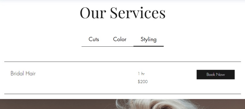 Our services page with the styling option highlighted. 