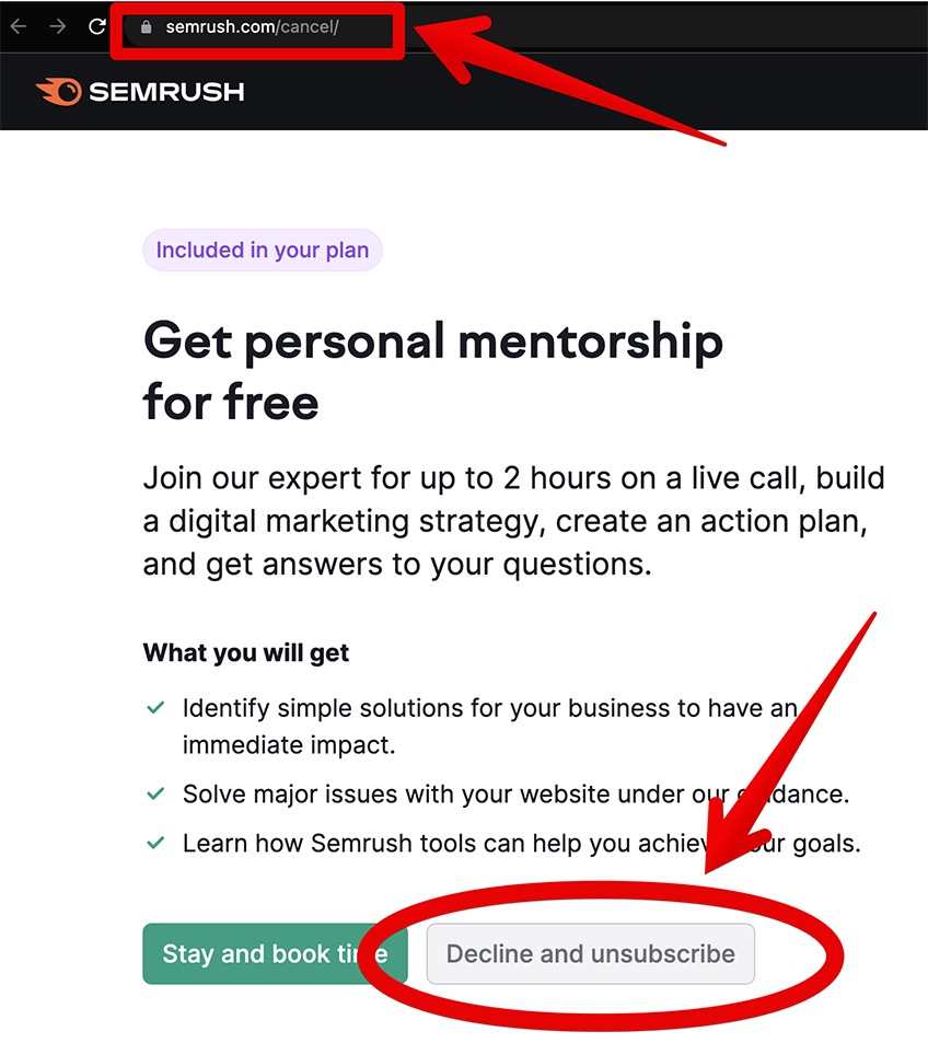 Semrush free personal mentorship. 